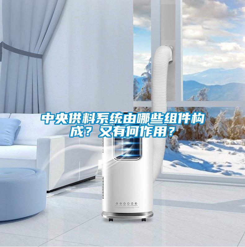 中央供料系統由哪些組件構成？又有何作用？