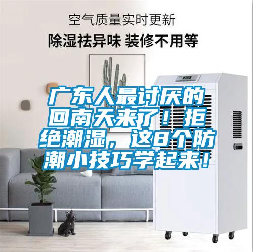 廣東人最討厭的回南天來了！拒絕潮濕，這8個防潮小技巧學起來！