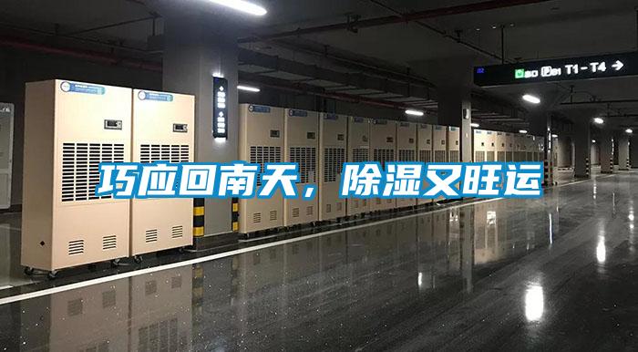 巧應回南天，除濕又旺運