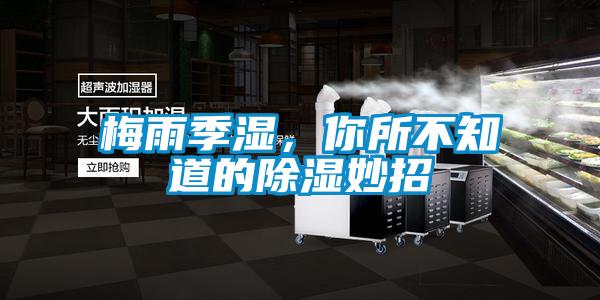 梅雨季濕，你所不知道的除濕妙招