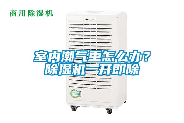 室內潮氣重怎么辦？除濕機一開即除