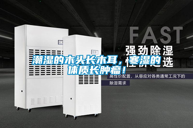 潮濕的木頭長木耳，寒濕的體質長腫瘤！