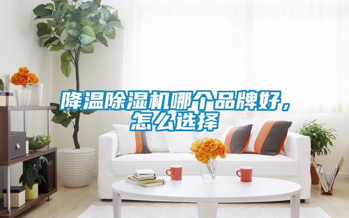 降溫除濕機哪個品牌好，怎么選擇