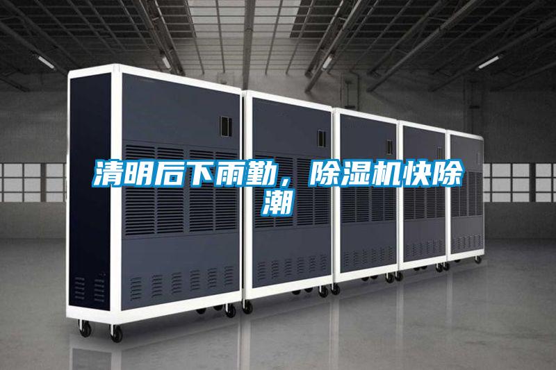 清明后下雨勤，除濕機快除潮