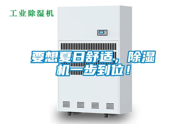 要想夏日舒適，除濕機(jī)一步到位！