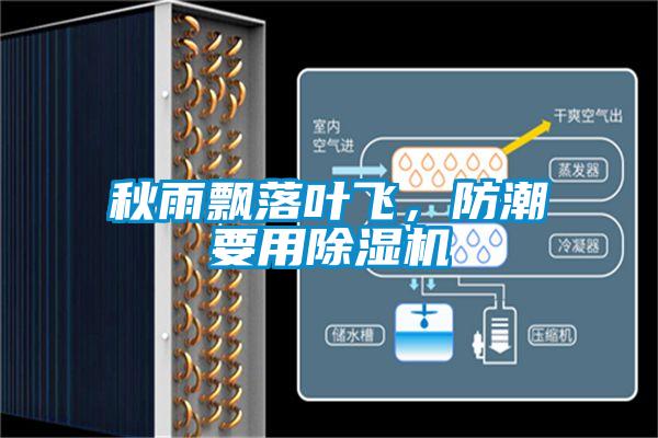 秋雨飄落葉飛，防潮要用除濕機