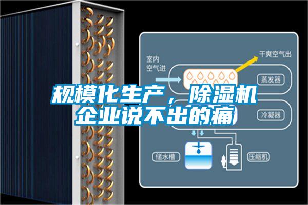 規模化生產，除濕機企業說不出的痛