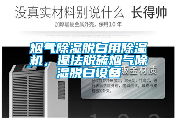 煙氣除濕脫白用除濕機，濕法脫硫煙氣除濕脫白設備