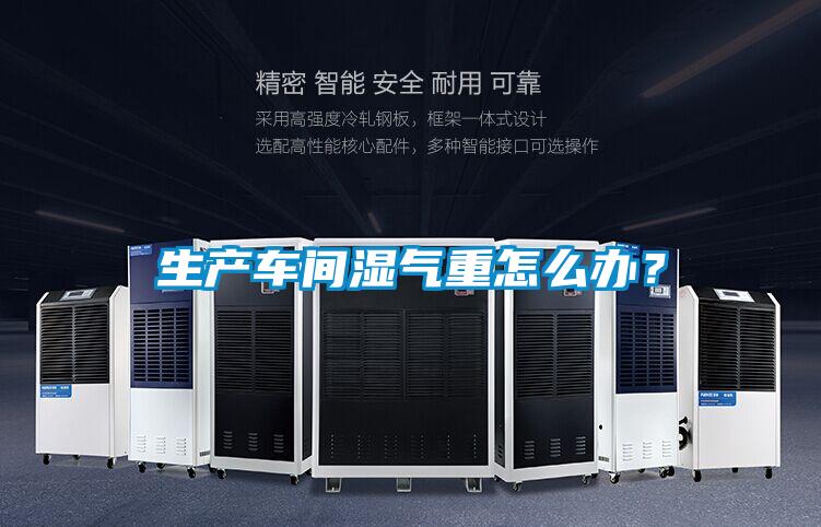 生產(chǎn)車間濕氣重怎么辦？