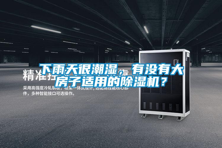 下雨天很潮濕，有沒(méi)有大房子適用的除濕機(jī)？