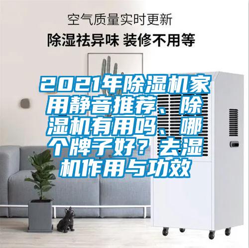 2021年除濕機家用靜音推薦、除濕機有用嗎、哪個牌子好？去濕機作用與功效