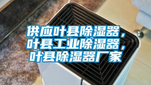 供應葉縣除濕器，葉縣工業除濕器，葉縣除濕器廠家