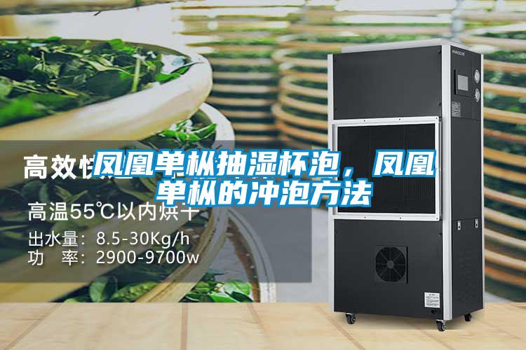 鳳凰單樅抽濕杯泡，鳳凰單樅的沖泡方法