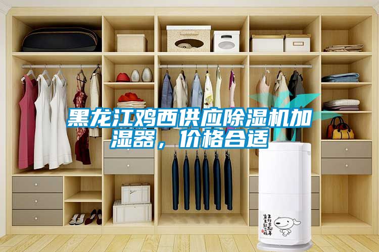 黑龍江雞西供應(yīng)除濕機(jī)加濕器，價格合適